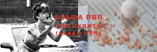 индика Беломорск