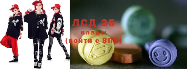 индика Беломорск