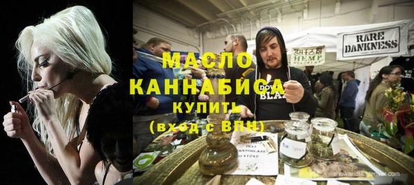 индика Беломорск