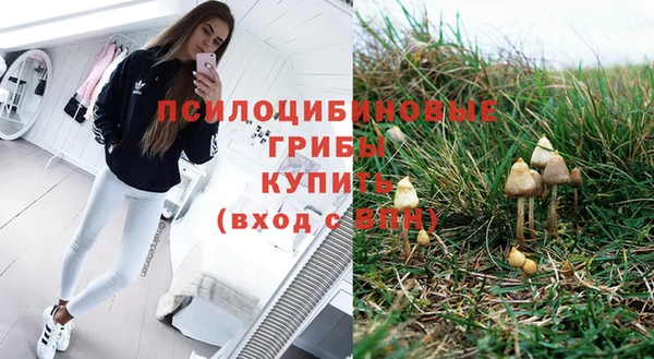 не бодяженный Белокуриха