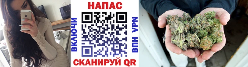 Шишки марихуана MAZAR  гидра онион  Кодинск  где можно купить наркотик 